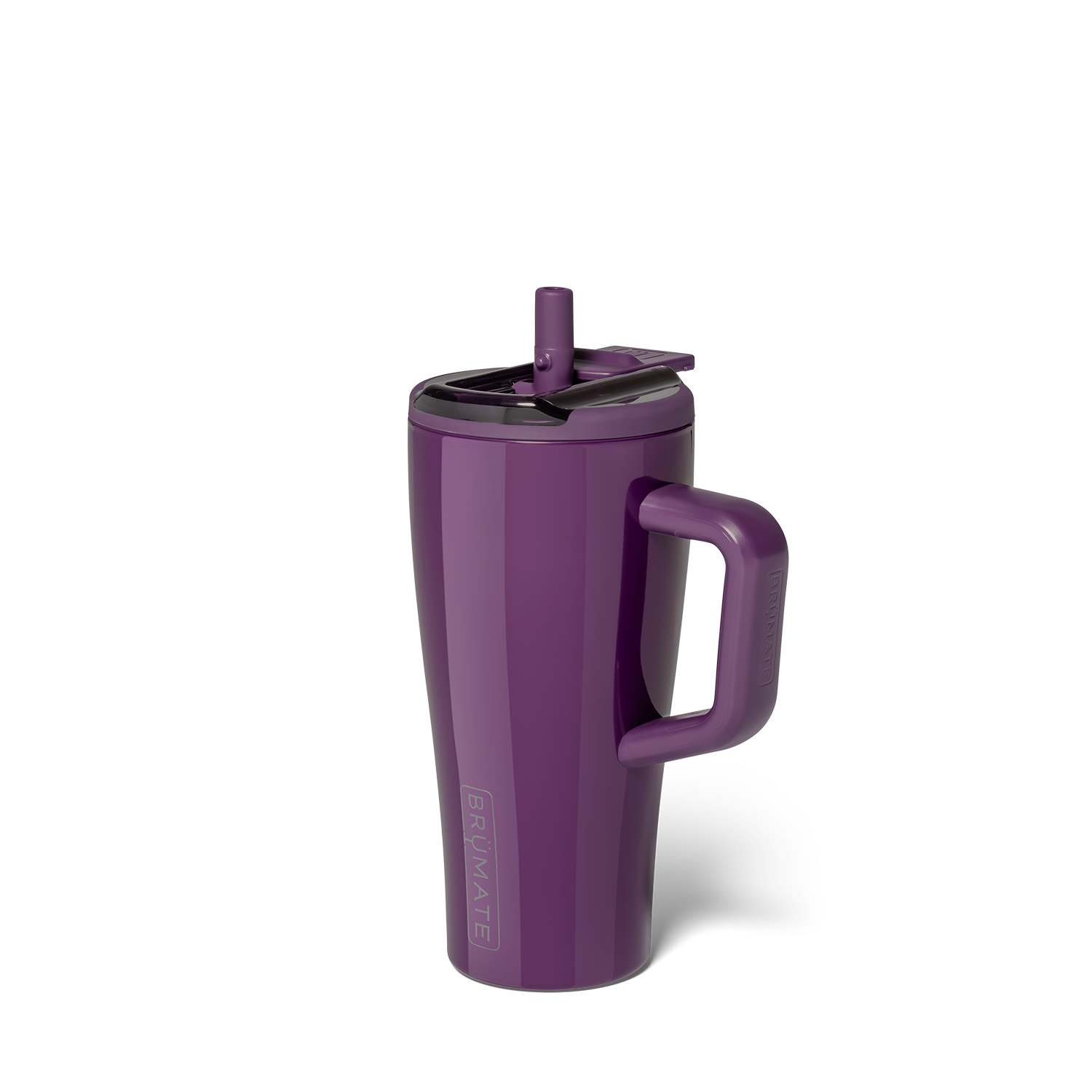 Era Flip 20oz | Plum